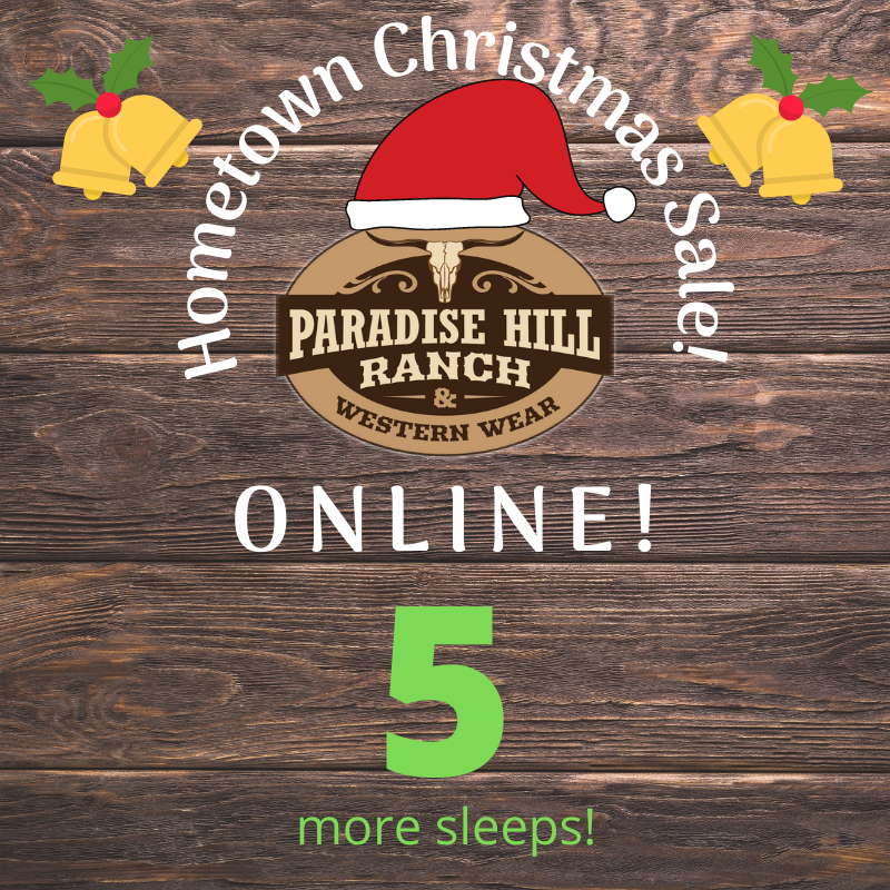 1st Annual Hometown Christmas ONLINE!