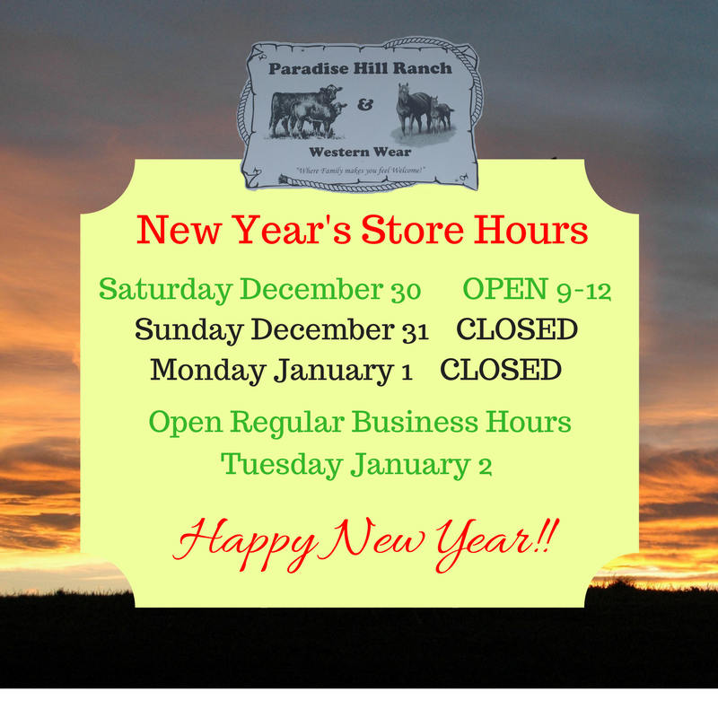 New Year's Store Hours