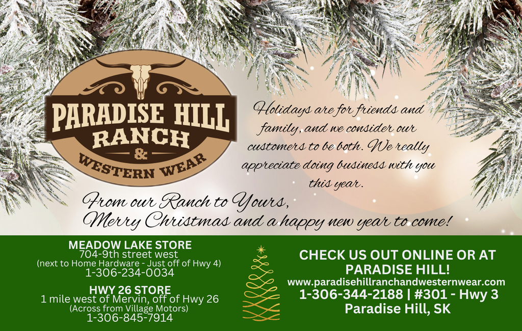 Merry Christmas & Happy New Year!