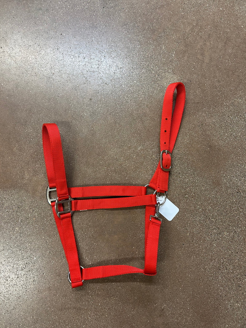 TKNH3209-DRAFT Halter Nylon Economy Hardware -Draft Assorted Colors