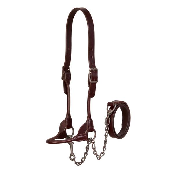 AC80402-60 Halter Leather Brn Bombshell Large (1400-1650lbs)