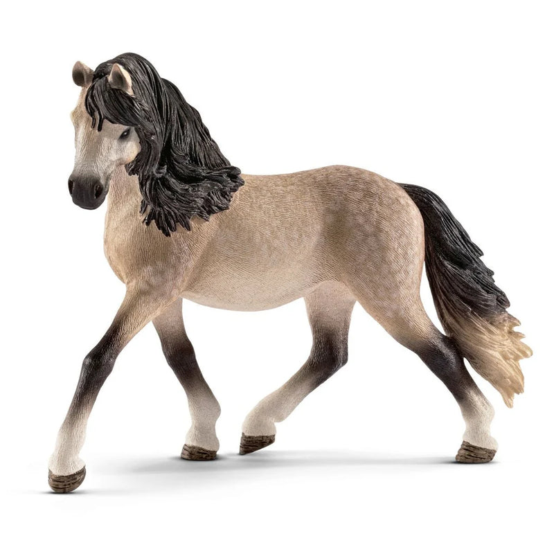 BG13793 Andalusian Mare