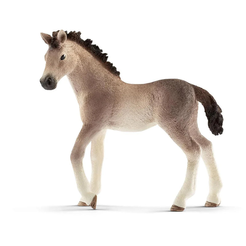 BG13822 Andalusian Foal