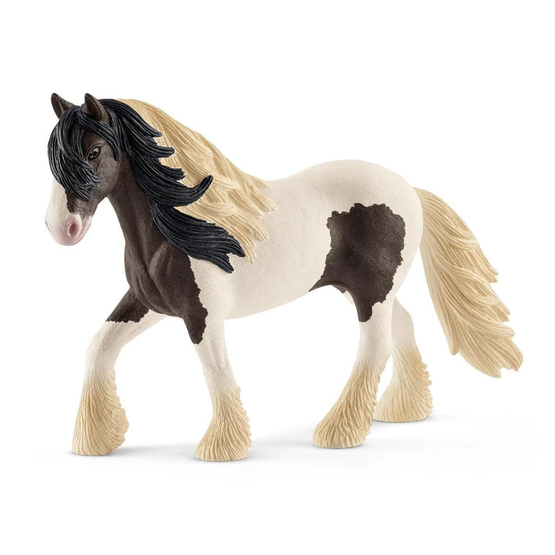 BG13831 Tinker Stallion