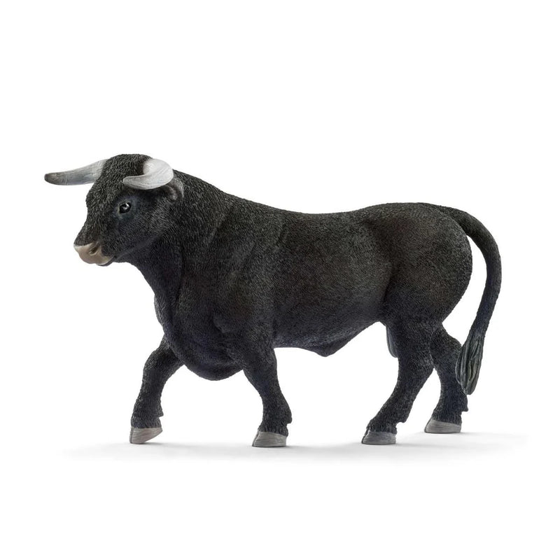 BG13875 Black Bull