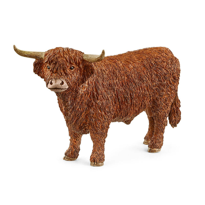 BG13919 Highland Bull