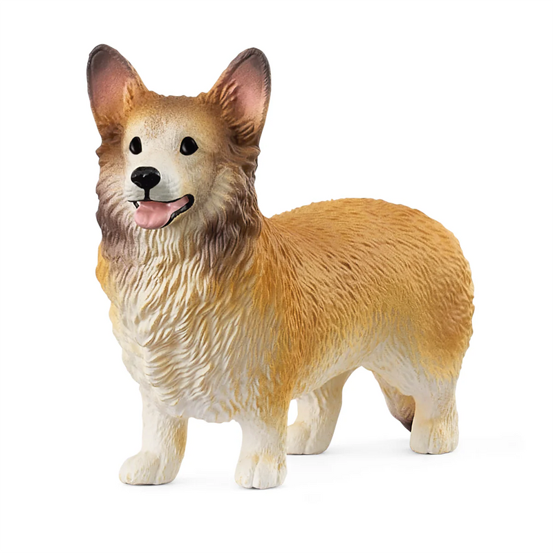 BG13999 Welsh Corgi