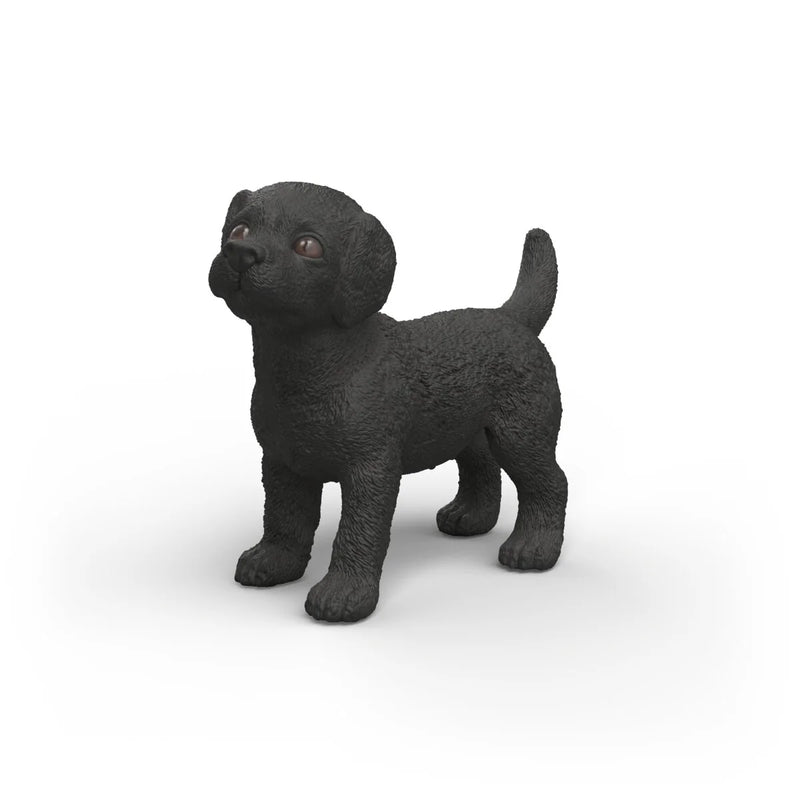 BG14922 Black Labrador Puppy