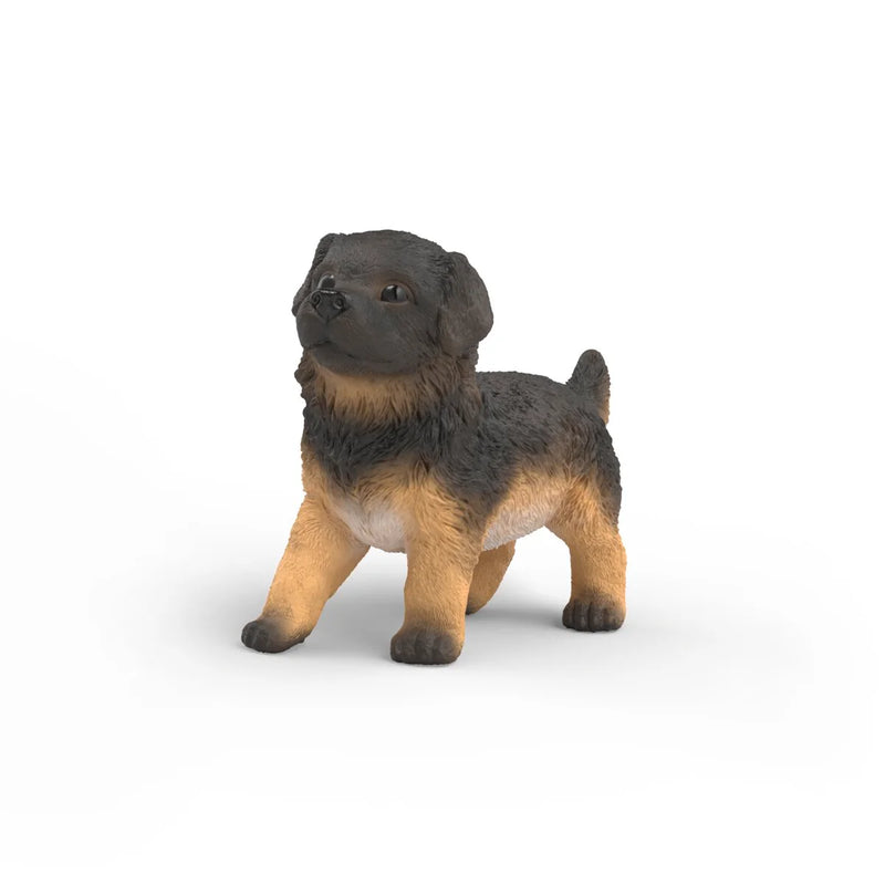 BG14925 German Shepherd Puppy