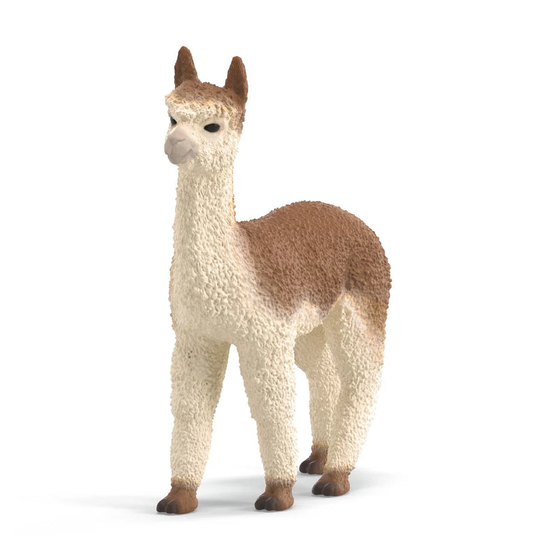 BG14928 Alpaca