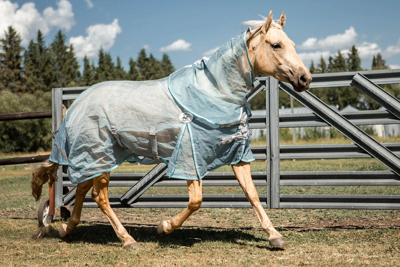 TKBUZZOFF Alliance Equine Buzz Off Fly Sheet
