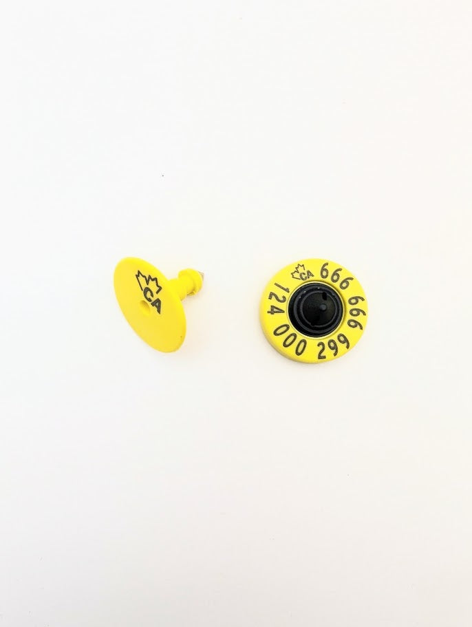 CCIA11 CCIA Leader Tags 25/pkg