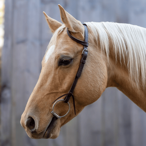 TKWHD100-Dark Velociti One Ear Headstall
