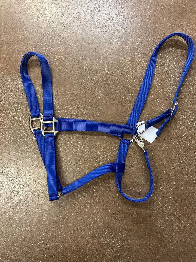TKNH3209-DRAFT Halter Nylon Economy Hardware -Draft Assorted Colors
