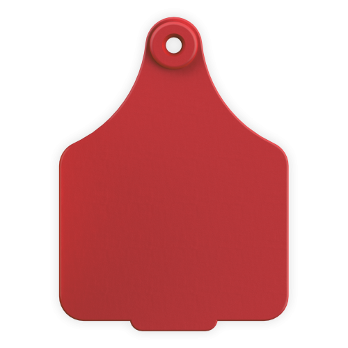 ACLARGE--Red LEADER 2 Piece LARGE Tag 25's w/buttons