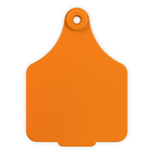 ACLARGE--Orange LEADER 2 Piece LARGE Tag 25's w/buttons