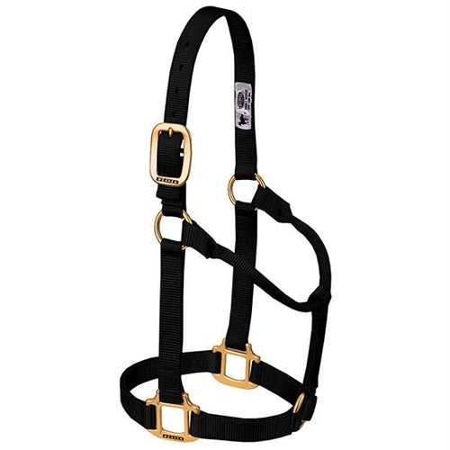 TK35-7004 Halter, Non adjustable 1"