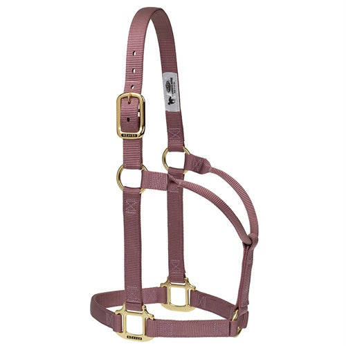 TK35-7004 Halter, Non adjustable 1"