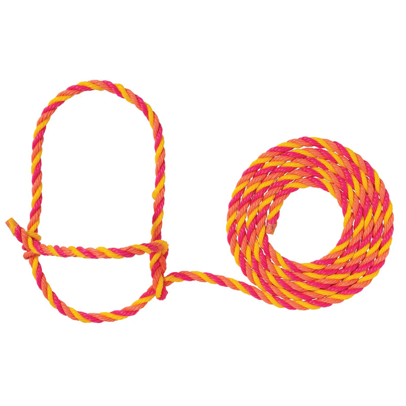AC35-7900--478 Halter Rope Cattle Coral/HP/YE