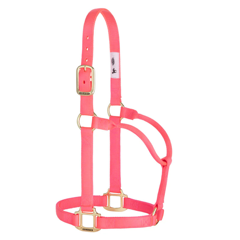 TK35-7005-Average-Hot Pink Halter Original Non-Adjustable