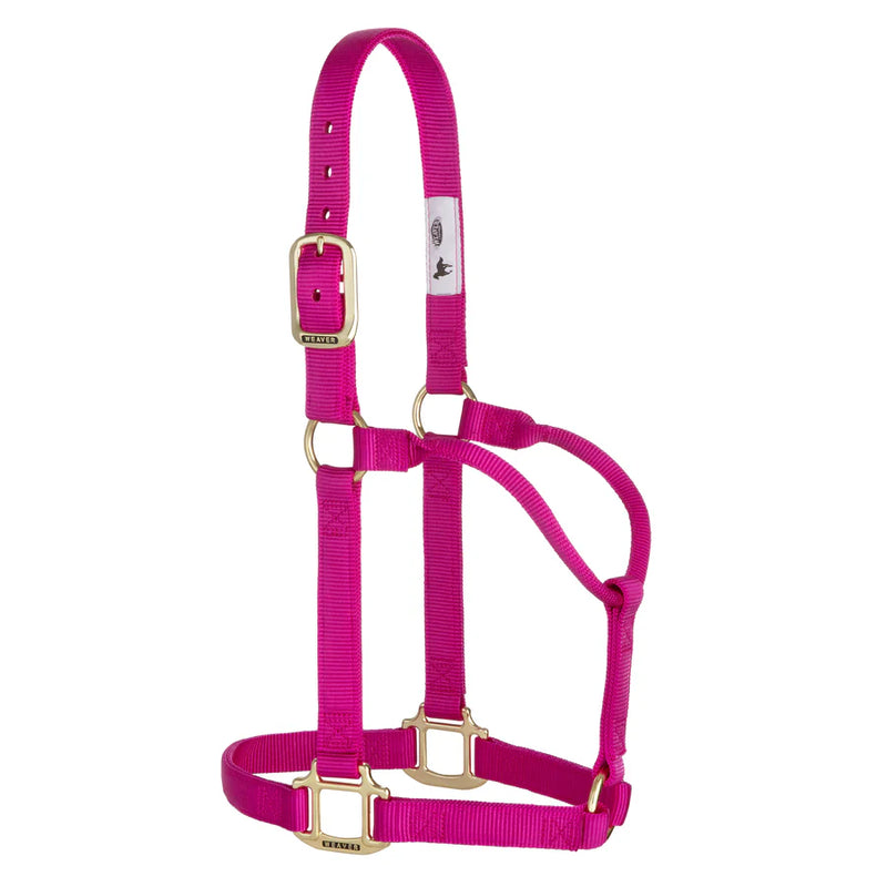 TK35-7005-Average-Raspber Halter Original Non-Adjustable