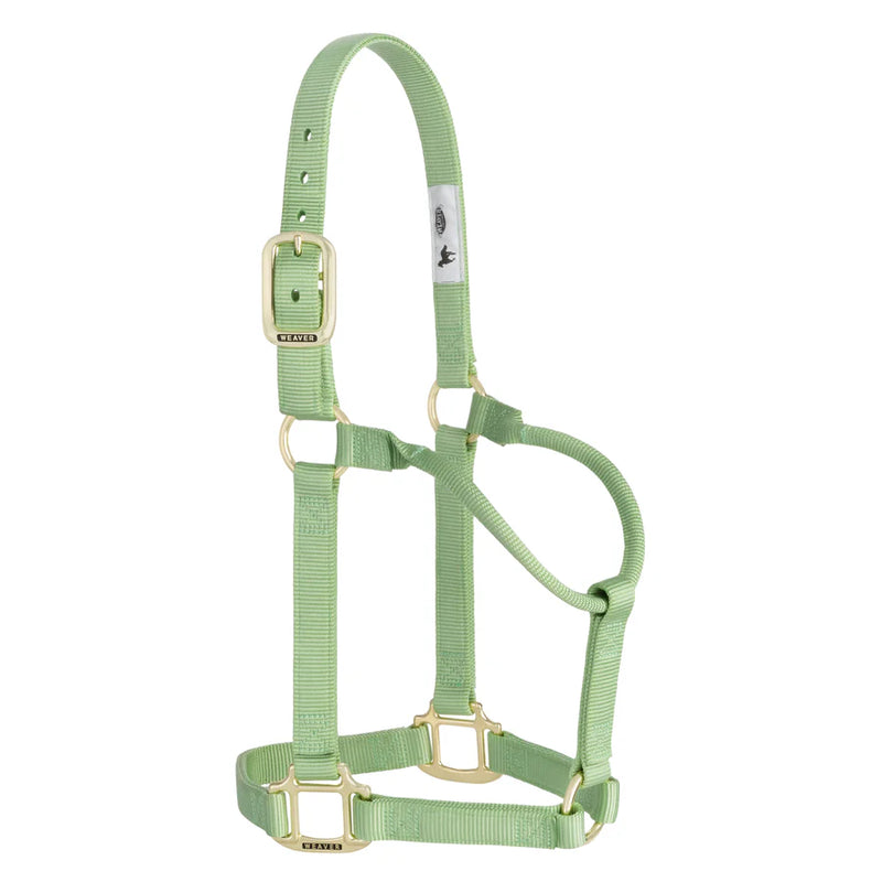 TK35-7005-Average-L Green Halter Original Non-Adjustable