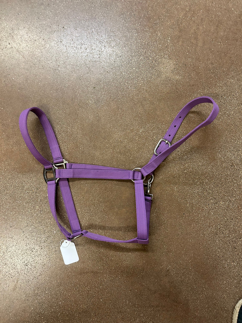 TKNH3209-DRAFT Halter Nylon Economy Hardware -Draft Assorted Colors