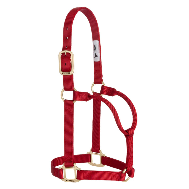 TK35-7006-Large-Red Halter Original Non-Adjustable