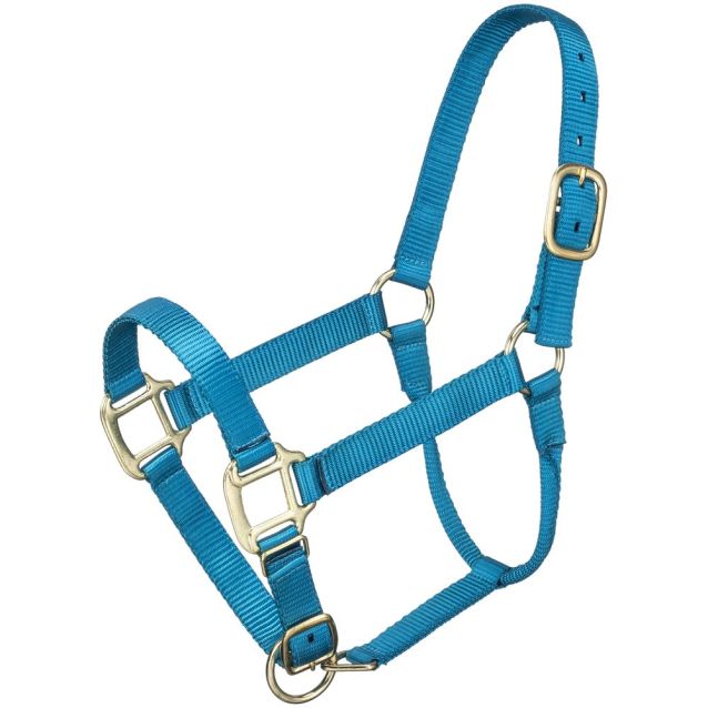 TK50-920--Teal Premium Nylon Halter - Pony