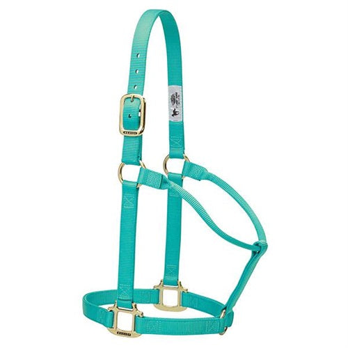 TK35-7005-Average-Mint Halter Original Non-Adjustable