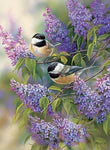 BG588-Chickadee Tray Puzzle