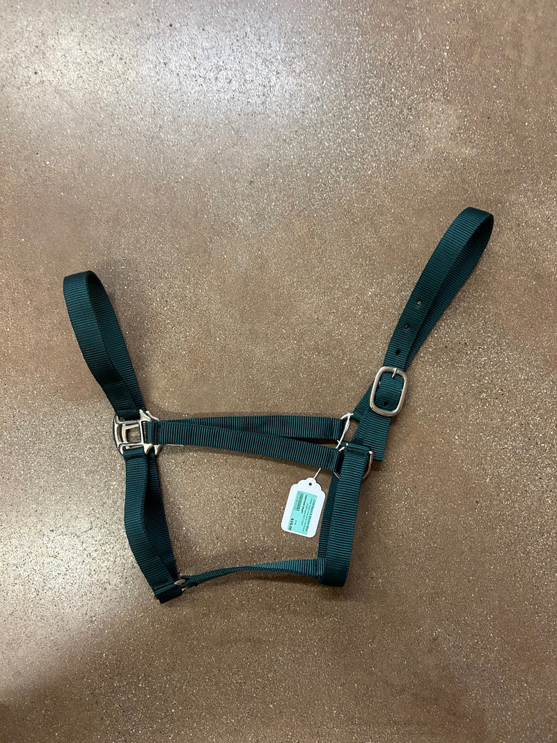 TKNH3209-DRAFT Halter Nylon Economy Hardware -Draft Assorted Colors