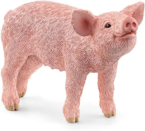 BG14893 Mangalica Piglet