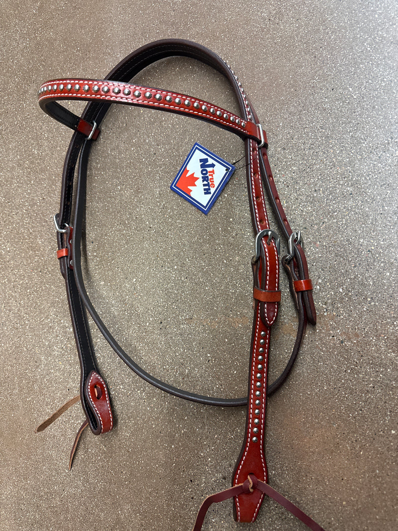 TKDZ2932 Headstall w/Browband Spots and Ties