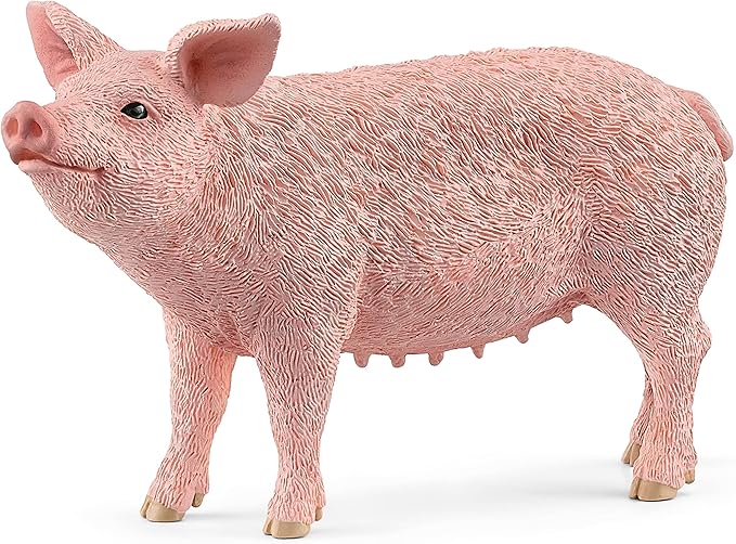 BG14892 Mangalica Pig