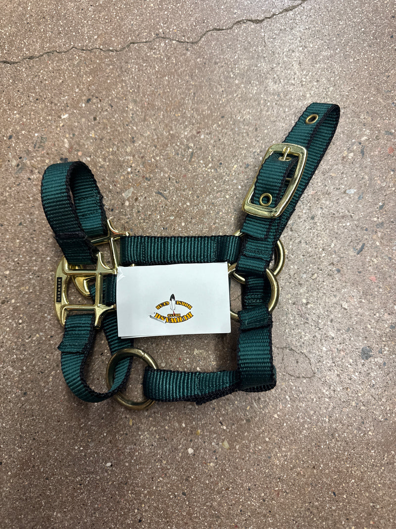 TKTBWHMIMHY-Green-Foal Halter Ultimate Foal Burwash