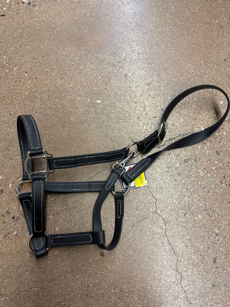 TKBH3519 Halter Biothane Waterproof - Black