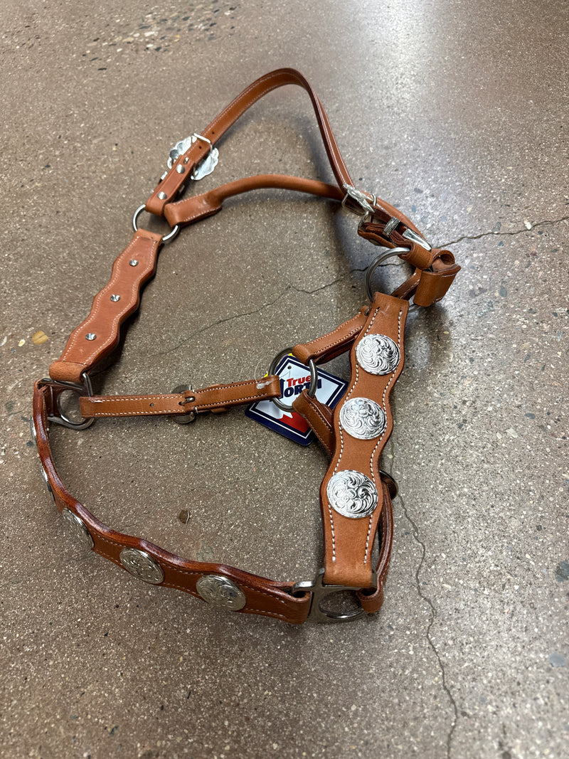 TKLH3549--Light Leather Show Halter Full size w/Conchos