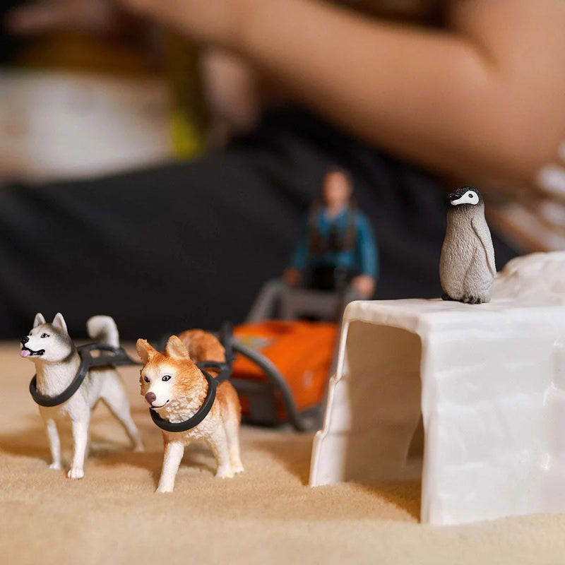 BG42558 Antarctic Expedition