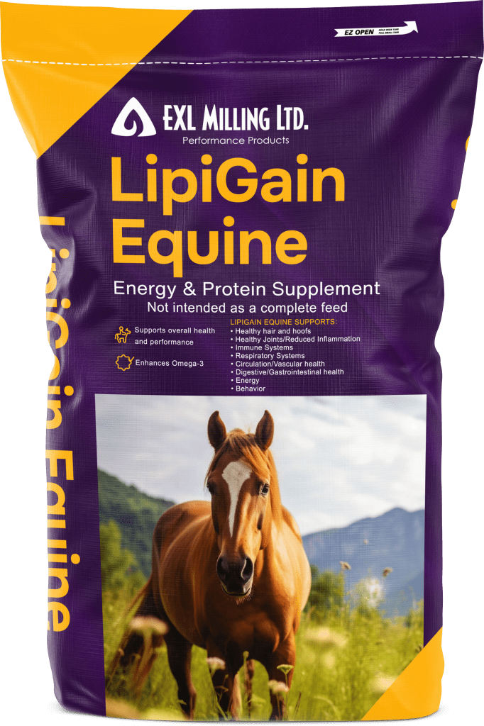FSLIP LipiGain Equine 20kg