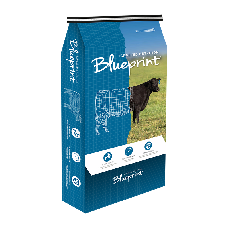 FSBLUEPRINTBR Blueprint Beef Calving/Breeder Mineral 25kg Bag