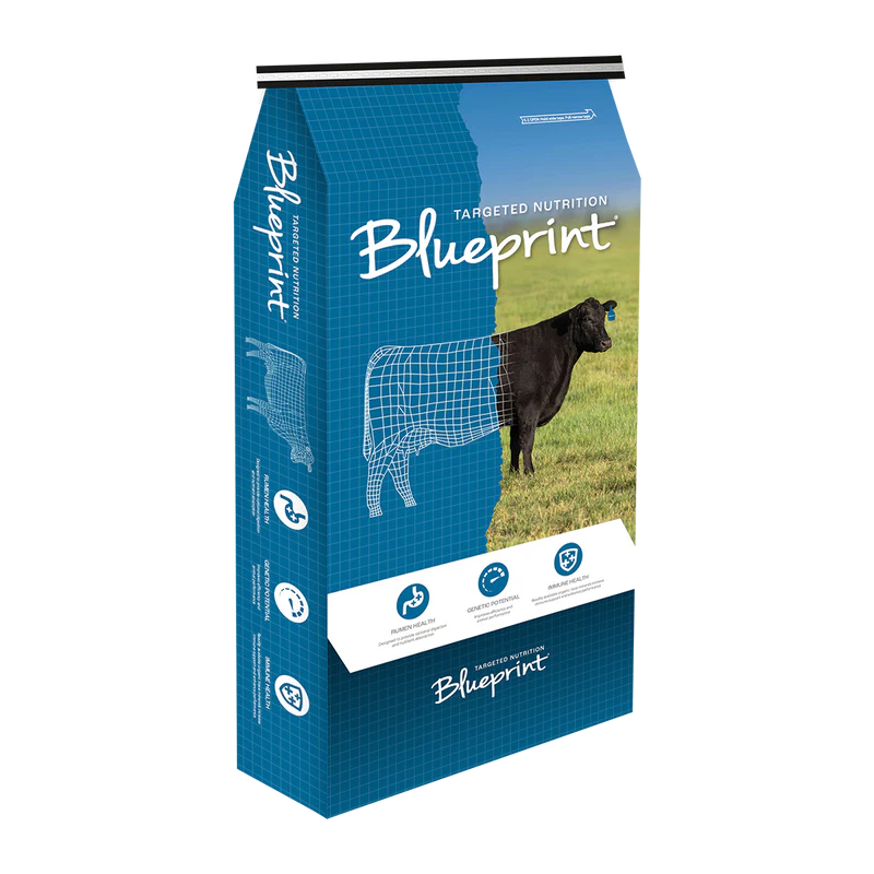 FSBLUEPRINTWINTER Blueprint Winter Beef Mineral 25kg/Bag
