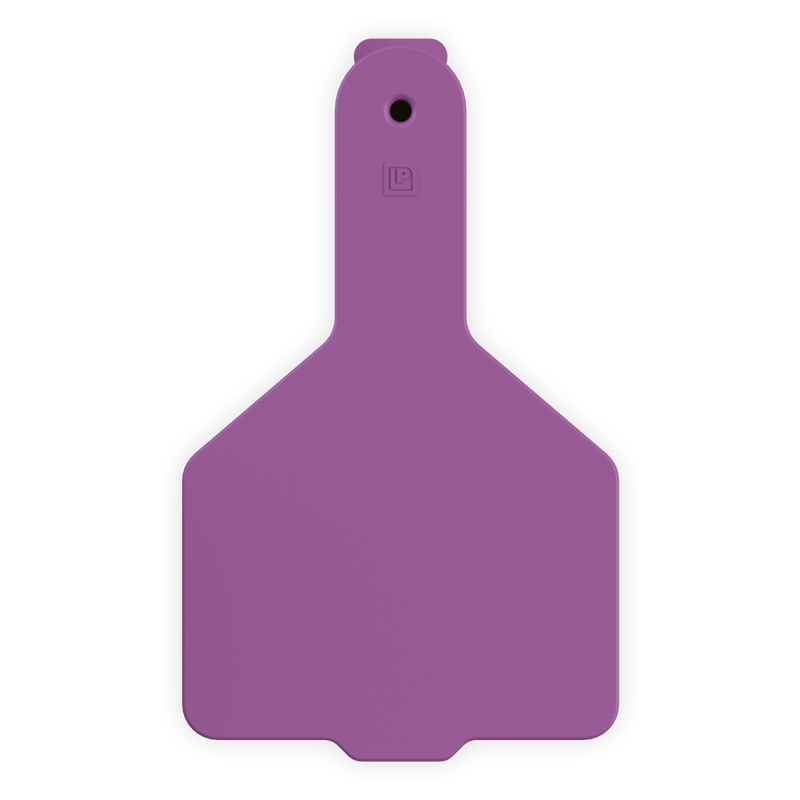 ACCALF1--Purple LEADER 1 Piece Calf Tag