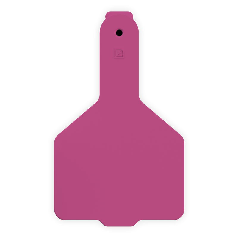 ACCALF1--Pink LEADER 1 Piece Calf Tag