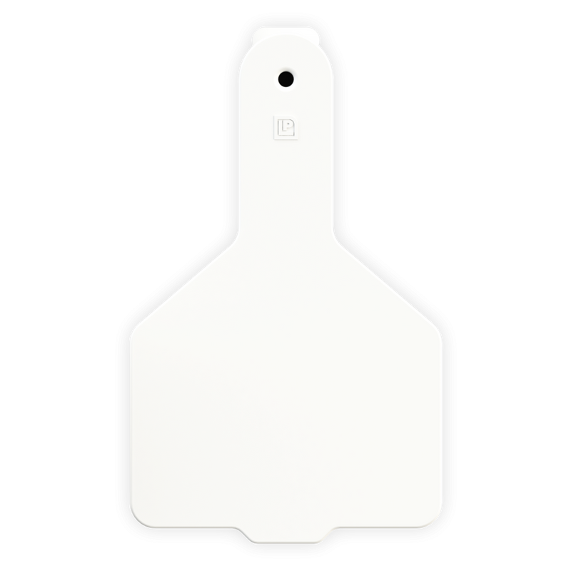 ACCALF1--White LEADER 1 Piece Calf Tag