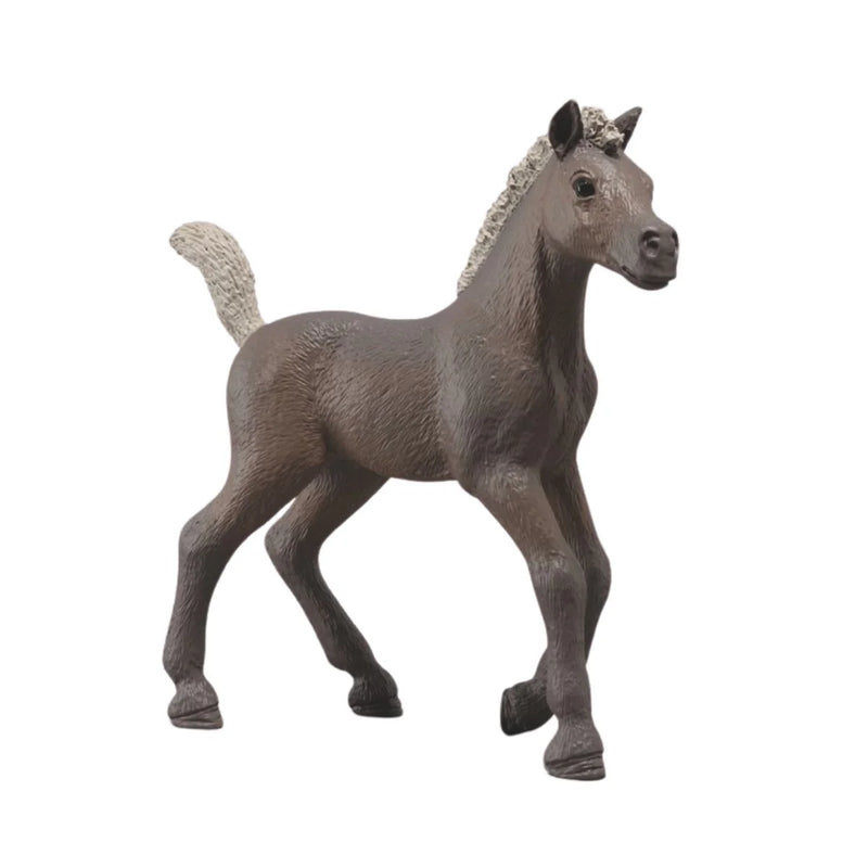 BG77707-Darcy Horse Club Foals