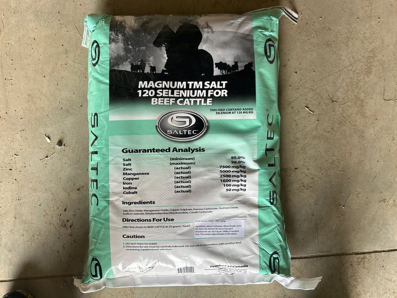 FSGAR-TMBAG (Mint) GARLIC - TM 120 w/Selenium 25kg BAG (Mint)