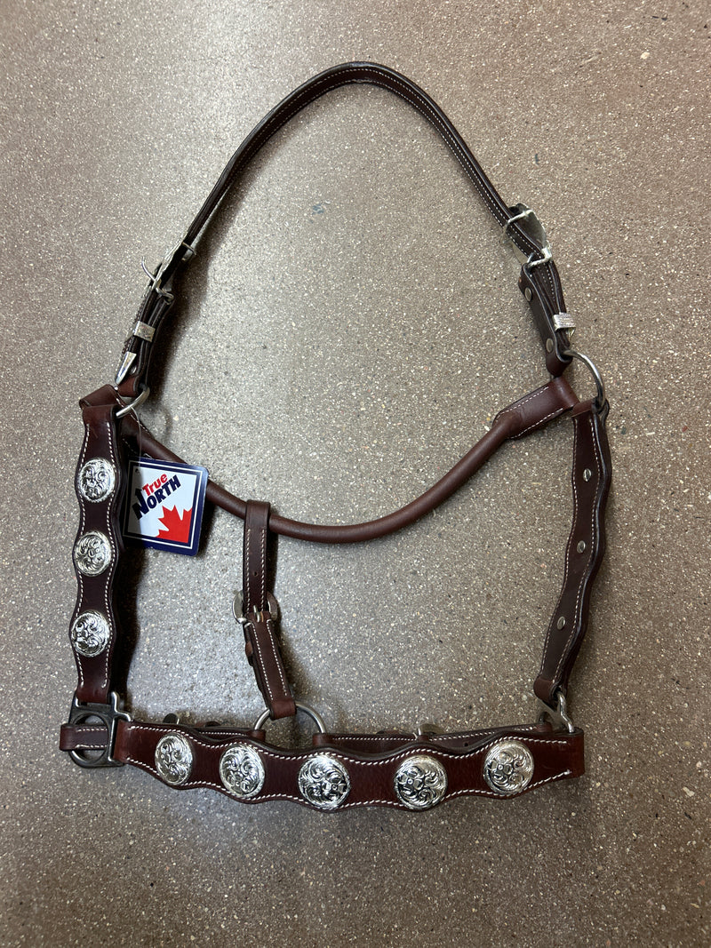 TKLH3549--Dark Leather Show Halter Full size w/Conchos