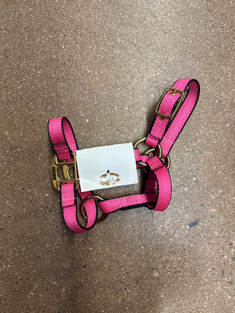 TKTBWHMIMHY-Pink-Foal Halter Ultimate Foal Burwash