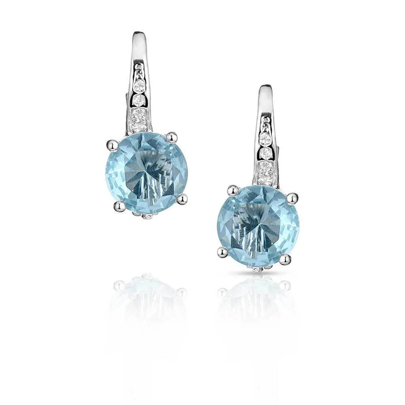 BGER5808 Earrings -Artic Ice